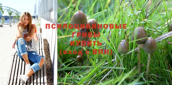 гидропоника Баксан